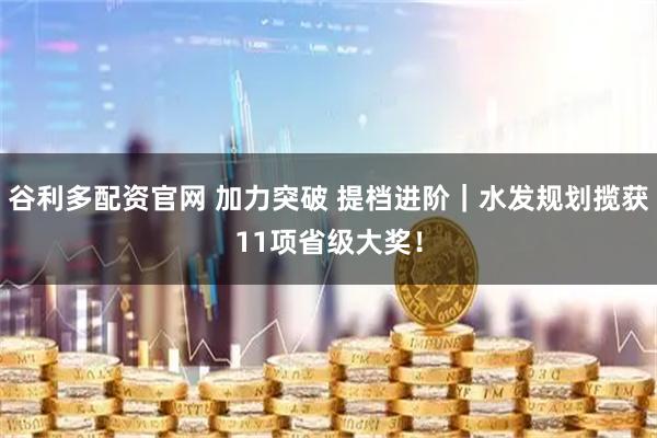 谷利多配资官网 加力突破 提档进阶｜水发规划揽获11项省级大奖！