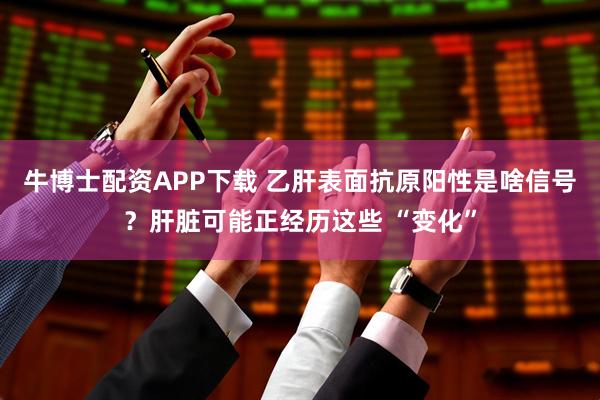 牛博士配资APP下载 乙肝表面抗原阳性是啥信号？肝脏可能正经历这些 “变化”