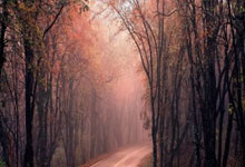 股票是怎么赚的:配资买卖股票-苹果库克：人工智能“完全属于我们” 苹果自研芯片将是人工智能战略的关键