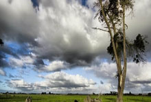 融资可以买的股票:长沙配资平台-商务部回应！事关半导体 中方敦促美方立即纠正错误做法