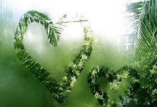 股票论坛交流群:开股票账户流程-全球市场：美股三大指数小幅收跌 特斯拉四连涨 国际金价跌超2%