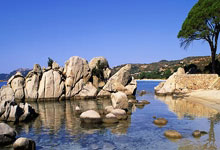 最好的股票配资导航网:买股票一般在哪里开户-重磅突袭！刚刚特朗普表态！A50直线拉升！